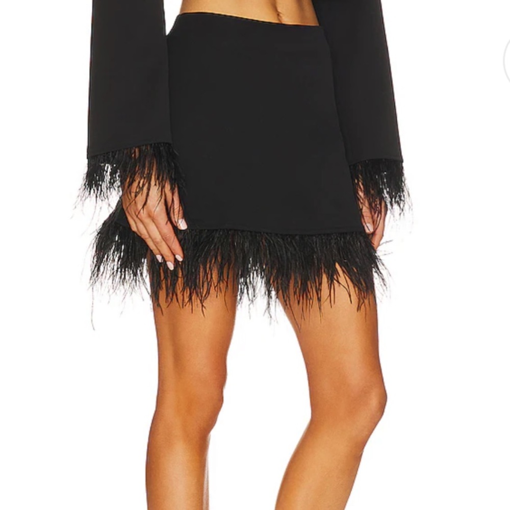 Feather Mini Skirt in Black
WeWoreWhat